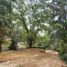  Land for sale in Jilotzingo, Mexico, Jilotzingo