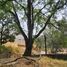  Land for sale in Jilotzingo, Mexico, Jilotzingo