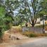  Land for sale in Jilotzingo, Mexico, Jilotzingo