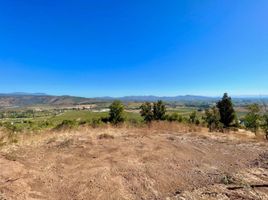 在Curico, Maule出售的 土地, Romeral, Curico