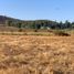  Terreno (Parcela) en venta en Chile, San Clemente, Talca, Maule, Chile