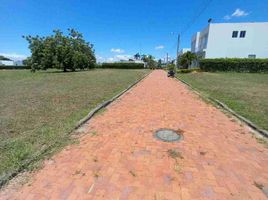  Land for sale in Tolima, Flandes, Tolima