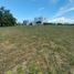  Land for sale in Tolima, Flandes, Tolima