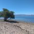  Grundstück zu verkaufen in Mulege, Baja California Sur, Mulege