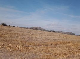  Land for sale in Huimilpan, Queretaro, Huimilpan, Queretaro, Mexico
