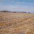  Land for sale in Huimilpan, Queretaro, Huimilpan, Queretaro, Mexico