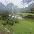  Terreno (Parcela) en venta en San Agustin Tlaxiaca, Hidalgo, San Agustin Tlaxiaca