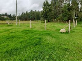  Land for sale in Paipa, Boyaca, Paipa