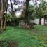  Land for sale in Xico, Veracruz, Xico