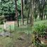  Land for sale in Xico, Veracruz, Xico