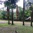  Land for sale in Xico, Veracruz, Xico