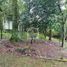  Land for sale in Xico, Veracruz, Xico
