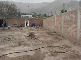  Terreno (Parcela) en venta en Lurigancho, Lima, Lurigancho