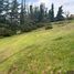  Land for sale in Cuenca, Azuay, Cuenca, Cuenca