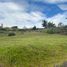  Land for sale in Cuenca, Azuay, Cuenca, Cuenca