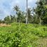  Land for sale in Alfonso, Calabarzon, Alfonso