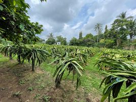  Land for sale in Alfonso, Calabarzon, Alfonso