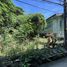  Land for sale in Muntinlupa City, Metro Manila, Muntinlupa City
