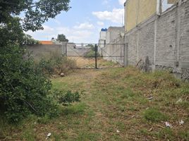  Land for sale in Atenco, Mexico, Atenco