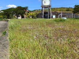  Land for sale in Consolacion, Cebu, Consolacion