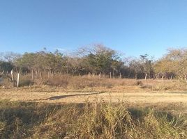  Terreno (Parcela) en venta en Jose Azueta, Guerrero, Jose Azueta