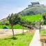  Terreno (Parcela) en venta en Asia, Lima, Asia