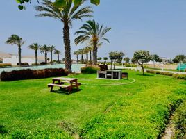  Terreno (Parcela) en venta en Asia, Lima, Asia