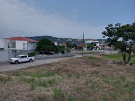  Land for sale in Daule, Guayas, Daule, Daule