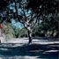  Land for sale in Chapala, Jalisco, Chapala