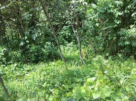  Land for sale in Cotabato, Soccsksargen, Kidapawan City, Cotabato