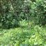  Land for sale in Kidapawan City, Soccsksargen, Kidapawan City, Cotabato