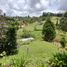  Grundstück zu verkaufen in Guarne, Antioquia, Guarne, Antioquia