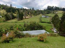  Grundstück zu verkaufen in Guarne, Antioquia, Guarne, Antioquia