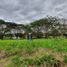  Land for sale in Calamba City, Calabarzon, Calamba City