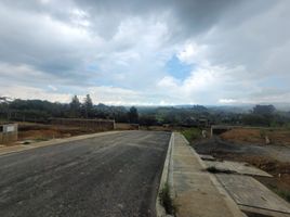  Land for sale in Rionegro, Antioquia, Rionegro