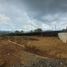  Land for sale in Rionegro, Antioquia, Rionegro