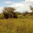 Land for sale in La Matanza, Piura, La Matanza, Morropon