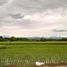  Land for sale in Cagayan, Cagayan Valley, Solana, Cagayan