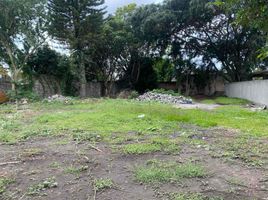  Grundstück zu verkaufen in Cuernavaca, Morelos, Cuernavaca