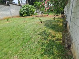  Land for sale in Atzacan, Veracruz, Atzacan