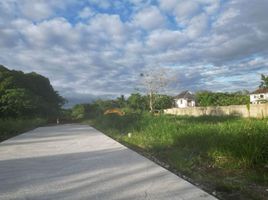  Land for sale in Amadeo, Cavite, Amadeo