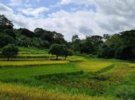  Grundstück zu verkaufen in Bulacan, Central Luzon, Norzagaray