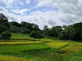  Terreno (Parcela) en venta en Norzagaray, Bulacan, Norzagaray