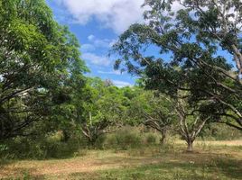  Land for sale in Batangas, Calabarzon, Taysan, Batangas