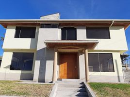 3 Habitación Casa en venta en Conocoto, Pichincha, Conocoto, Quito, Pichincha