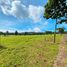  Terreno (Parcela) en venta en Calamba City, Calabarzon, Calamba City, Laguna