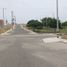  Terreno (Parcela) en venta en Castilla, Piura, Castilla, Piura, Piura