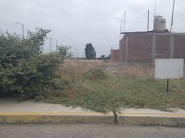  Terreno (Parcela) en venta en Castilla, Piura, Castilla, Piura, Piura