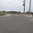  Terreno (Parcela) en venta en Castilla, Piura, Castilla, Piura, Piura