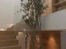 3 Habitación Apartamento en venta en Miguel Hidalgo, Ciudad de México, Miguel Hidalgo